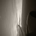 R0028397.JPG