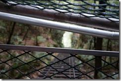 View from cog railway at Scenic World, Katoomba, Blue Mountains