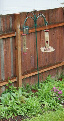 [IMG_1580%255B3%255D.jpg]