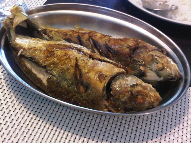 [IMG00680-20111216-1321.jpg]