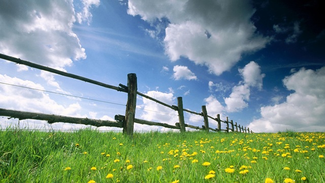 [wallpaper-natura%255B3%255D.jpg]