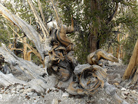 HPIM2402.JPG Photo