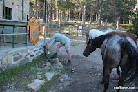 IMG_1141.JPG Photo