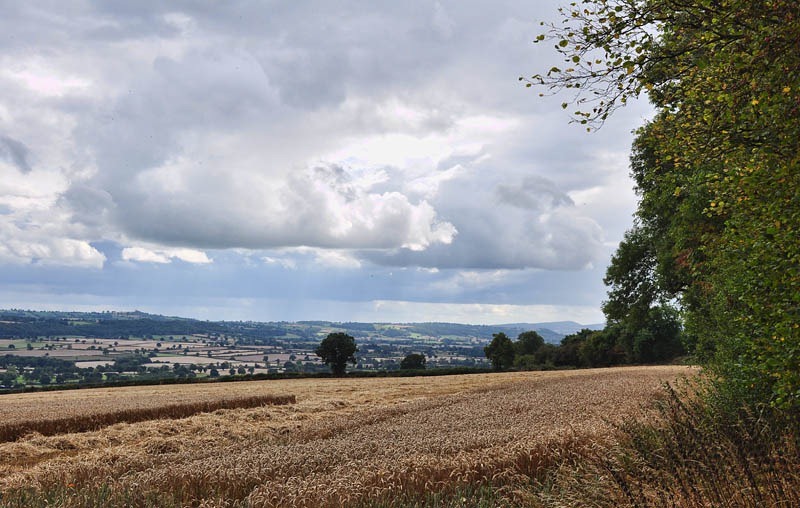 [Corvedale%255B3%255D.jpg]