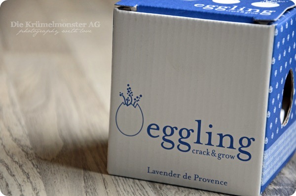 Eggling (1)