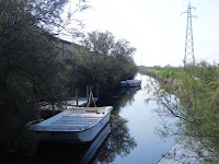 Cervia Photo