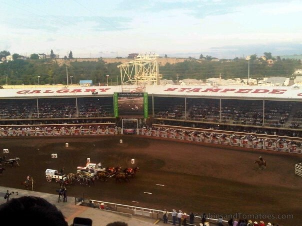 [Stampede-24%255B5%255D.jpg]
