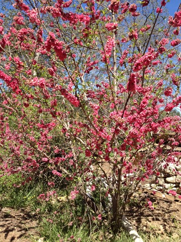 [019%255B3%255D.jpg]