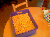 IMAGE_583.jpg