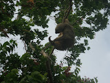 Panama City - IMG_3903.JPG