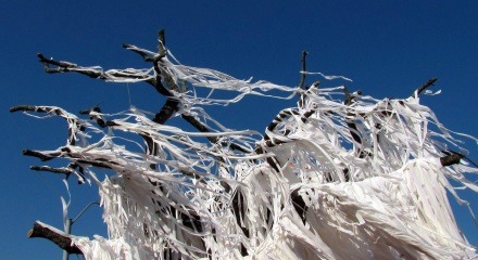 [oaks-at-toomers%255B2%255D.jpg]