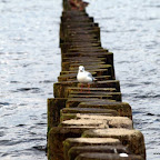 20100822_115_small.JPG