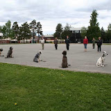 Videregåendekurs Drammen 2. - 4. juni 2006