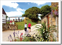 Meadow Lakes Holiday Park - Cornwall