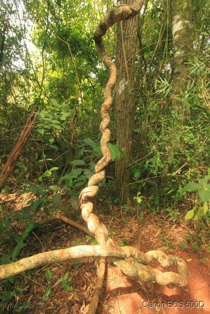 [IMG_9199%255B4%255D.jpg]