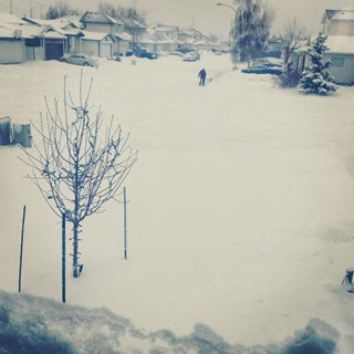 20131116 snow day (2)