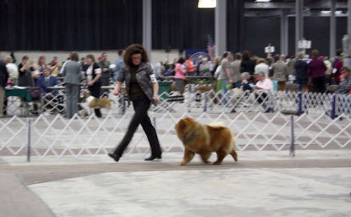 And besides, Jan and I have our routine down pat! And besides, Jan and I have our routine down pat!
