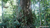 DSC04283.JPG