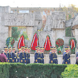 Ziua Armatei Romane 2008