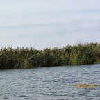 IMG_8044.JPG