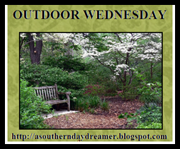 [Outdoor-Wednesday-button_thumb1_thum.png]