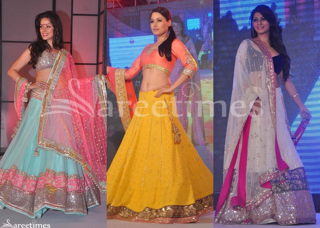 [Manish_Malhotra_2012_Sarees24.jpg]