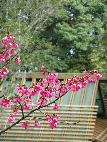 [IMG_48062.jpg]