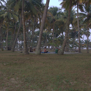 Marari Beach Resort