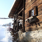 DSC06178.jpg