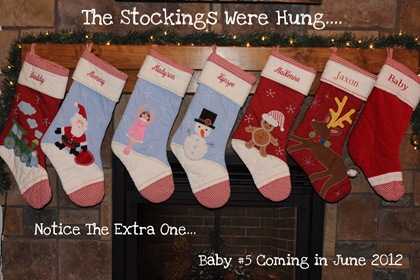 DSC_6917 stocking