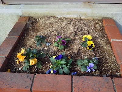 2014-02-01 10.28.28.jpg
