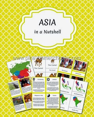 Asian Studies for Kids (Asia in a Nutshell)