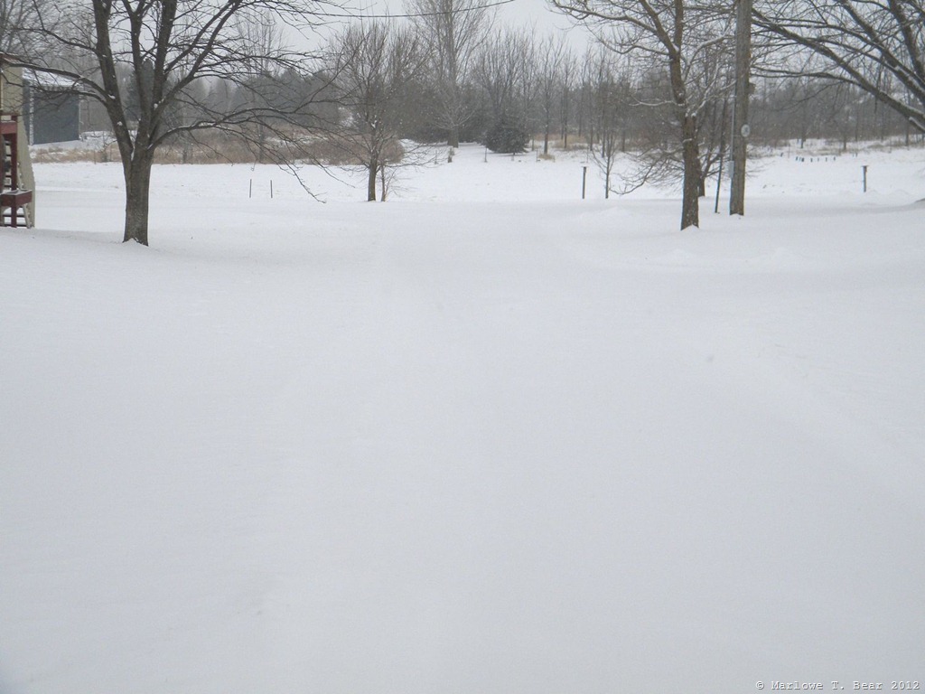 [tn_2012-01-20%2520Winter%2520%25282%2529%255B7%255D.jpg]