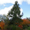 DSC00400.JPG
