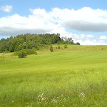 20.jpg