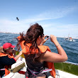 Ballestas Islands