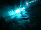 DSCN4073.JPG