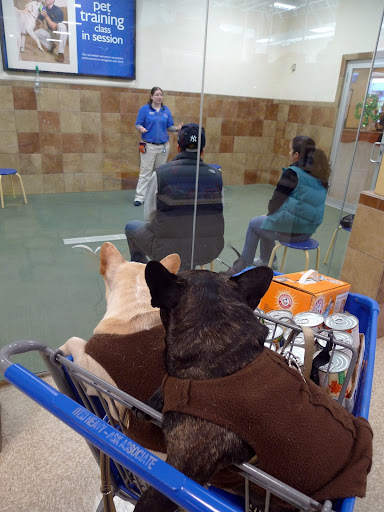 Sharkey, there's so much to do in this store!  Our inspection is going to take longer than we thought!