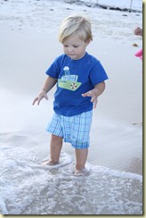 IMG_2615 IMG_2615