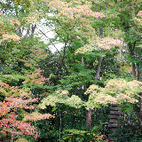 DSC_0291.jpg