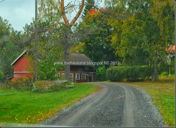 sienimetsällä 020 sienimetsällä 020