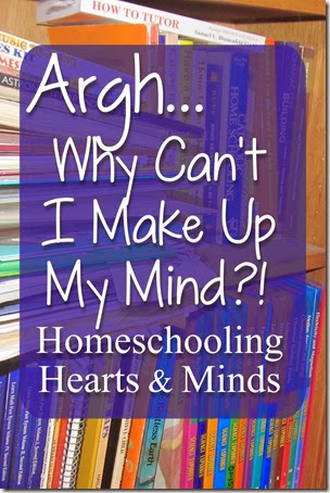 My ideal is not possible…and God's vision for our homeschool is sometimes hard to see.  Homeschooling Hearts & Minds