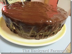 Irish Brownie Cheesecake - The Backyard Farmwife