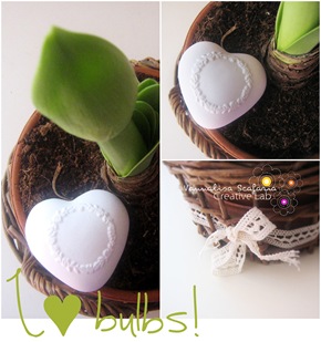 love_bulbs_vannalisascafaria