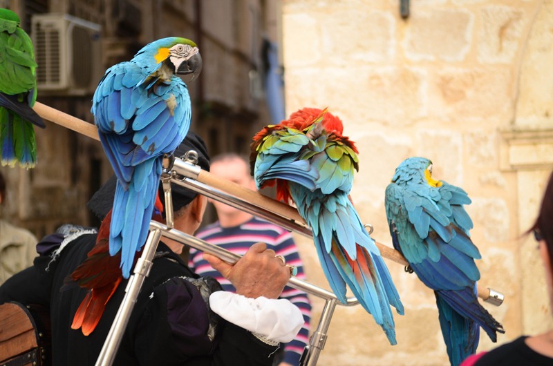 [Old%2520Town22%255B3%255D.jpg]