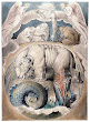 Behemoth And Leviathan By William Blake