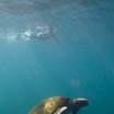 VE034 Day 6 Snorkeling Vol. Ecuador.jpg