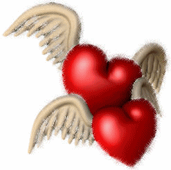 amor amor