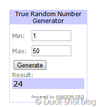 [RANDOM.ORG---True-Random-Number-Serv%255B1%255D.png]