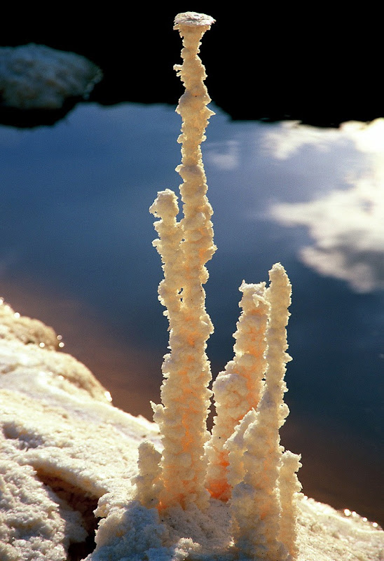 الترسبات الملحية في البحر الميت بأشكال مدهشة ومذهلة  Dead-sea-salt-crystals-18%25255B3%25255D